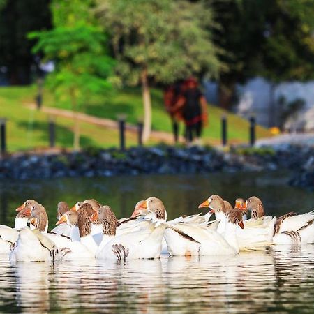 Nirvana Retreat Digdaga Dış mekan fotoğraf