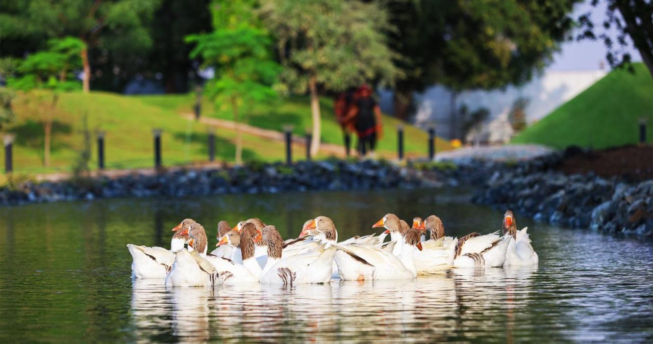 Nirvana Retreat Digdaga Dış mekan fotoğraf