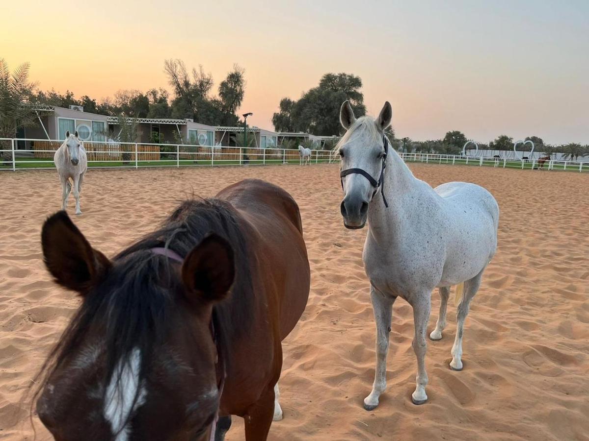 Nirvana Retreat Digdaga Dış mekan fotoğraf